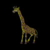 giraffe design Rhinestone Heat Transfer For T-Shirts And Hoodies